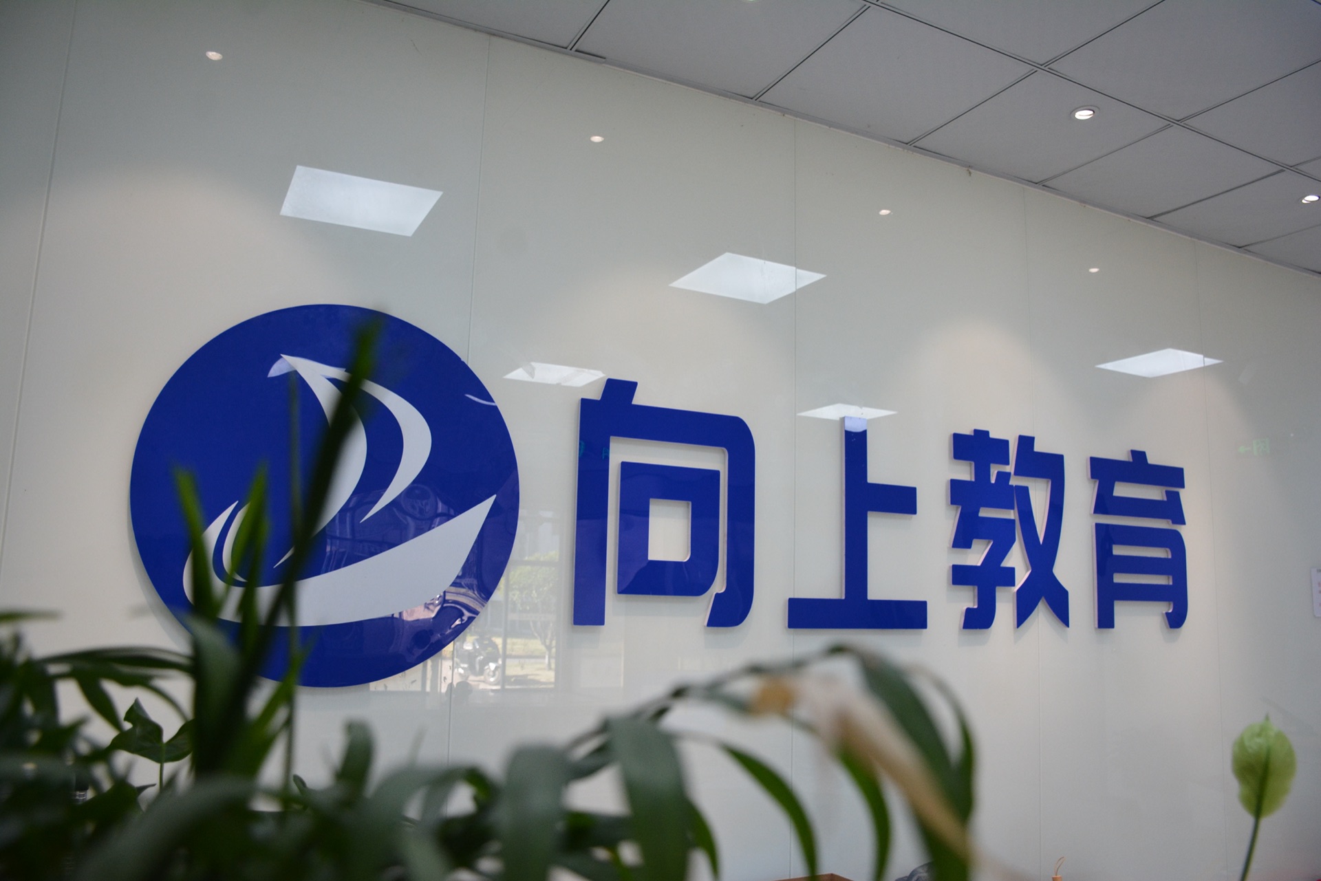 江西向上教育南昌校区品牌墙实拍
